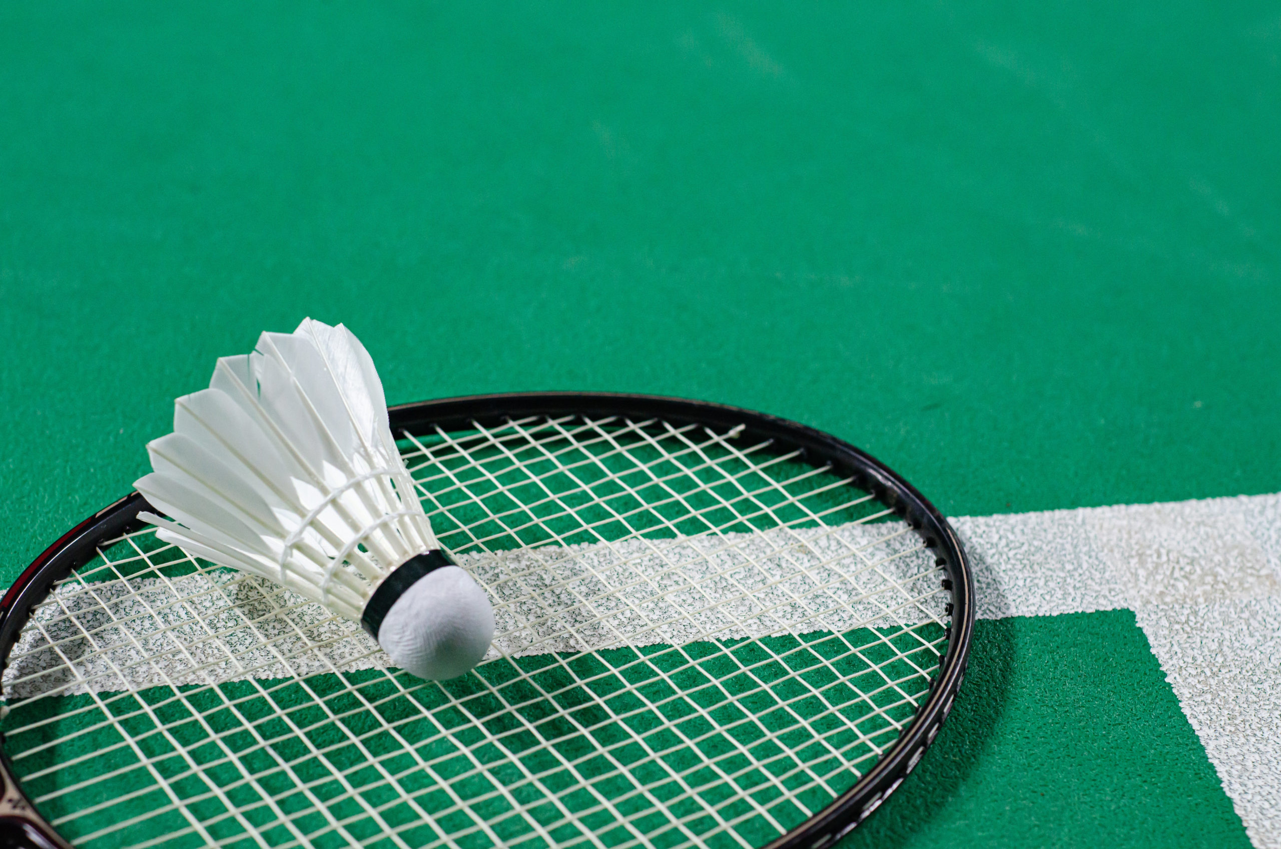 Shuttlecock on badminton racket